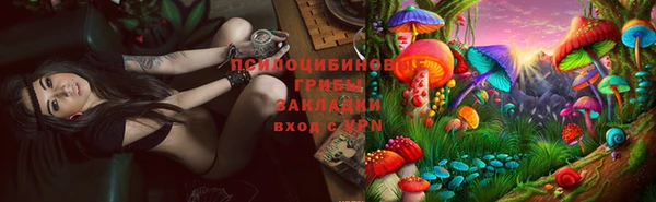 соль курить ск Аркадак