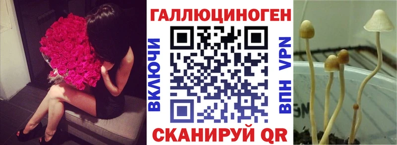 Псилоцибиновые грибы Magic Shrooms  hydra маркетплейс  Дыгулыбгей 